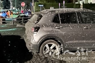 IMG_0065.JPG IMG_0065.JPG