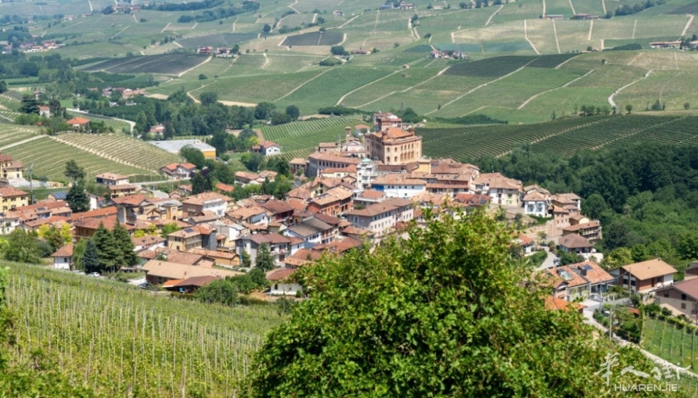 barolo.jpeg