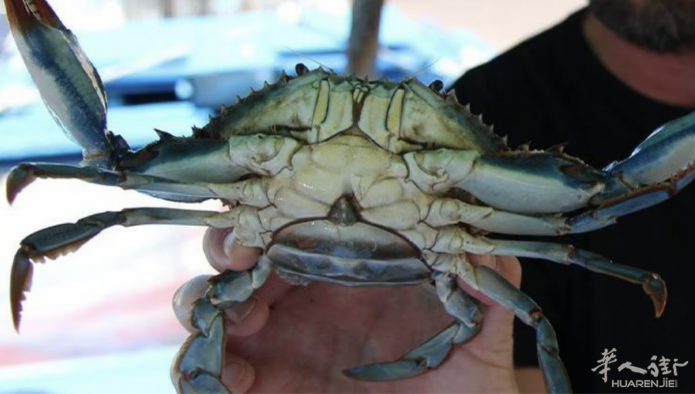 Screenshot 2023-09-23 at 20.19.21.png