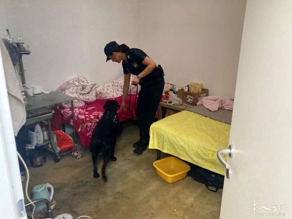 I controlli hanno interessato anche l'unità cinofila.jpg