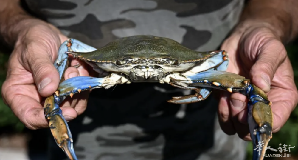 Screenshot 2023-10-23 at 22.03.58.png