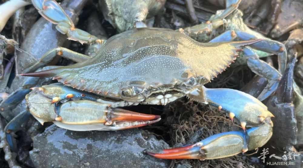 Screenshot 2023-10-23 at 22.04.11.png