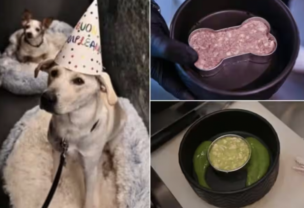 Screenshot 2023-11-25 at 16.13.17.png