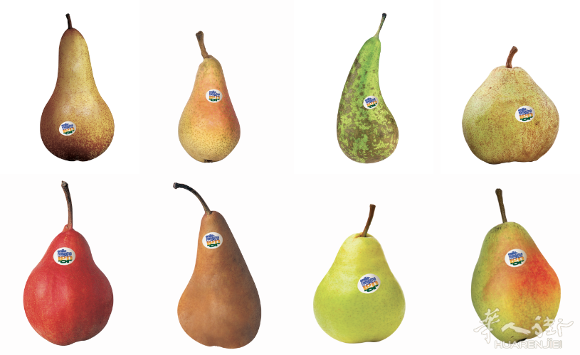 pere-emilia-romagna.png pere-emilia-romagna.png