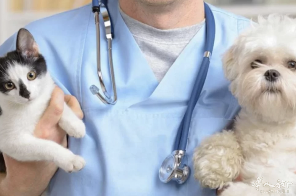 截屏2024-01-11 11.45.32.png 截屏2024-01-11 11.45.32.png