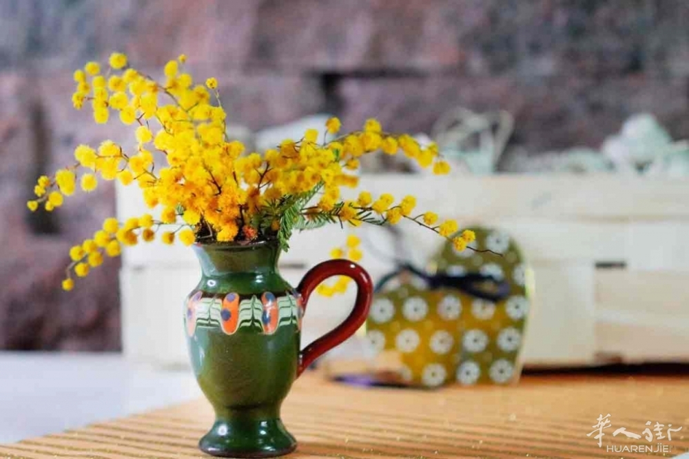 mimosa-2.jpg