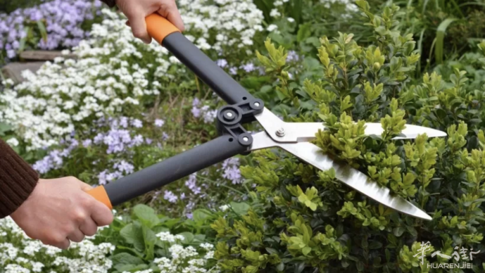 截屏2024-03-10 23.58.24.png 截屏2024-03-10 23.58.24.png