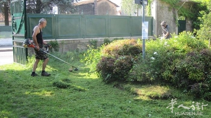 cari-luratesi-curate-i-giardini-multe-da-168-euro-ai-trasgressori_91d962b8-7112-.jpg cari-luratesi-curate-i-giardini-multe-da-168-euro-ai-trasgressori_91d962b8-7112-.jpg