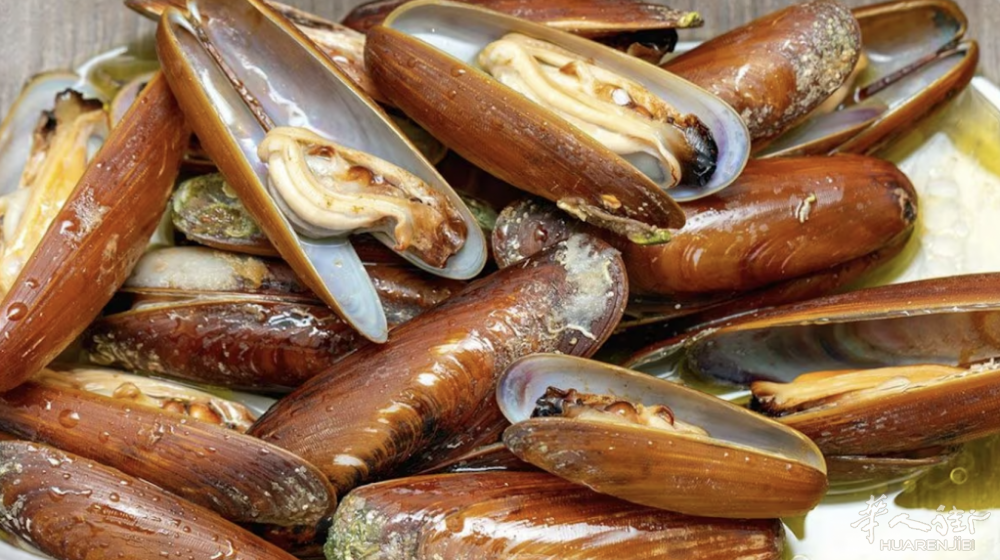 截屏2024-04-13 10.58.47.png