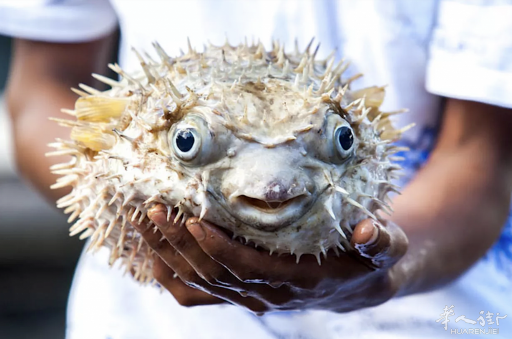 截屏2024-04-13 10.59.02.png