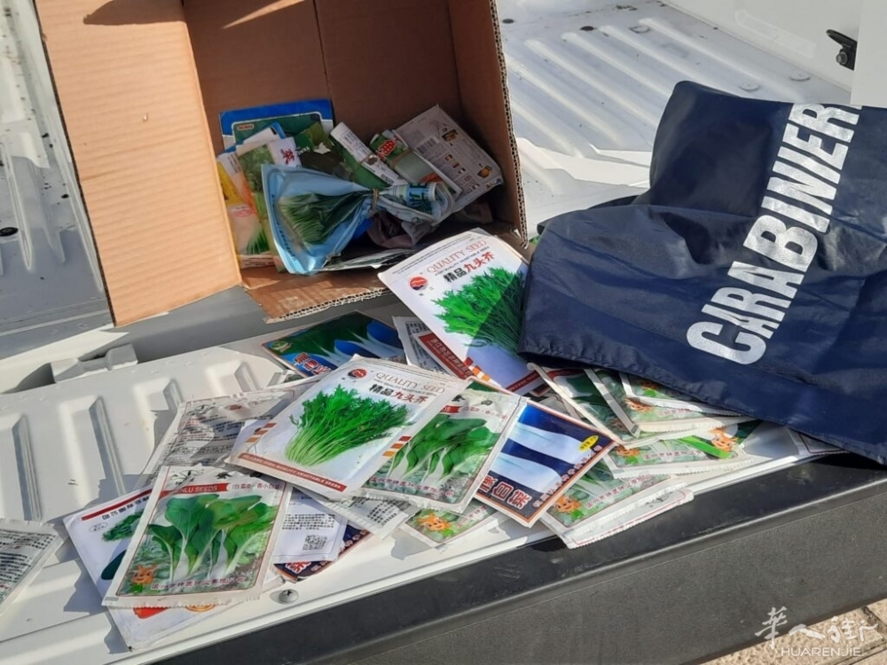 IMG-20231117-WA0048-1024x768 (1).jpg