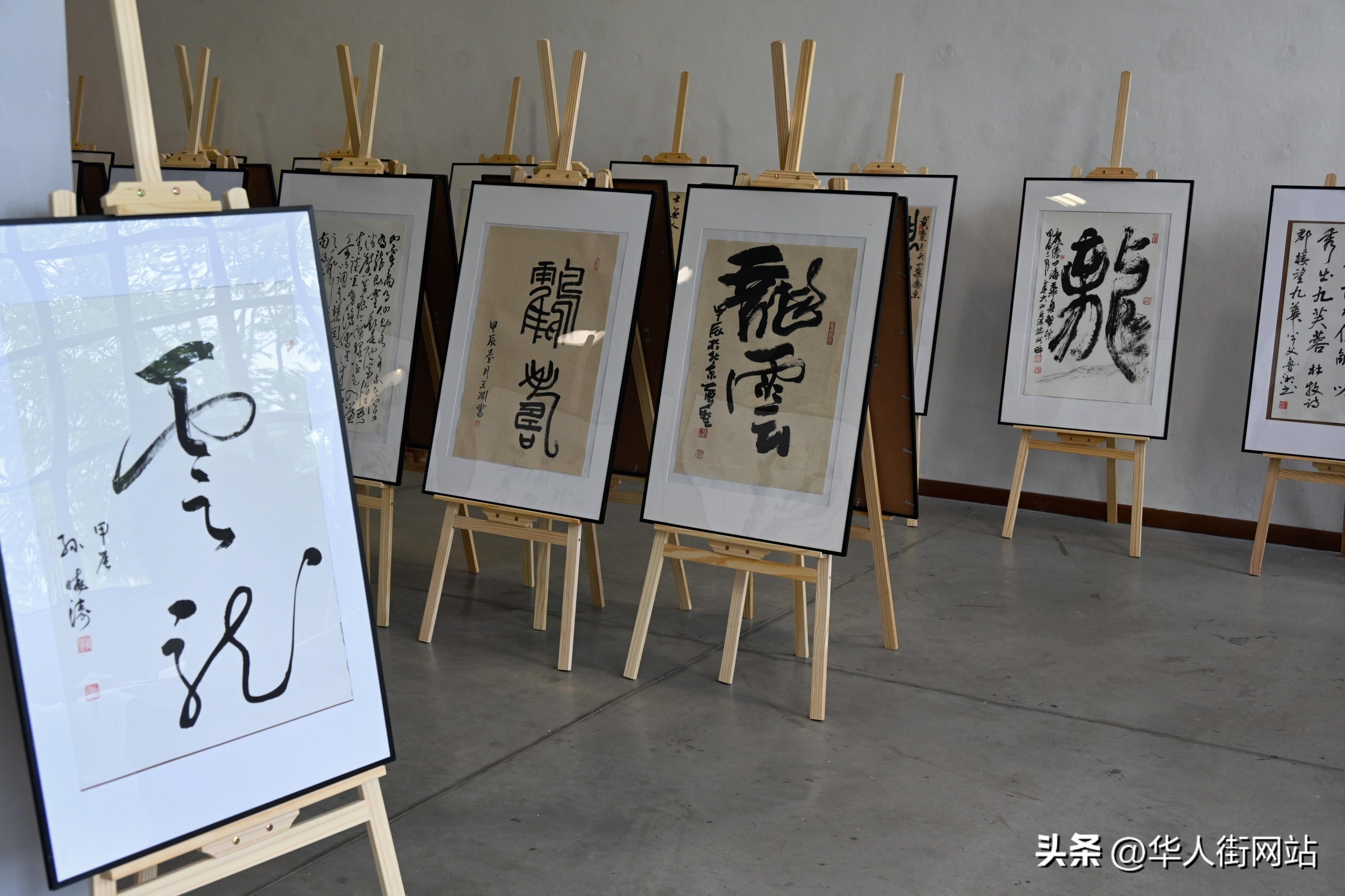 第26届意大利“中文太极文化节”在米兰华人街隆重开幕