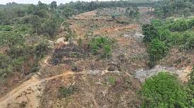 中央生态环保督察：云南省部分市州严重破坏森林生态 