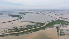 中央生态环保督察：江西省鄱阳湖保护修复不力 生态环境问题多发 