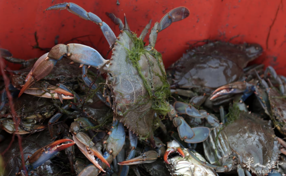 截屏2024-07-01 22.02.39.png