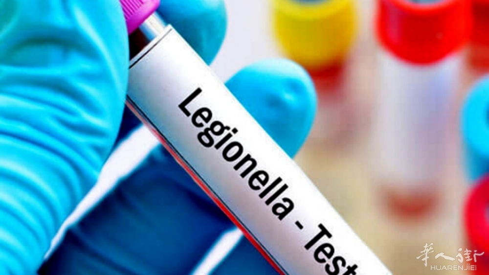 legionella-1-1.jpg