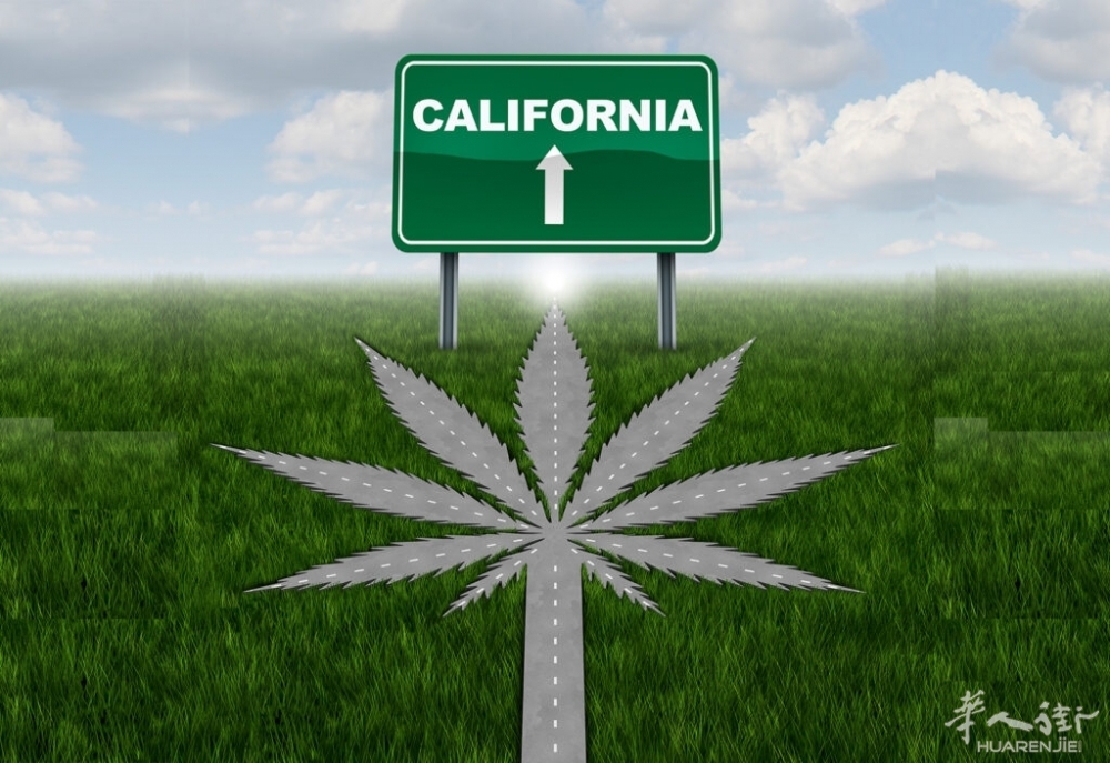 Californias-Cannabis-Conundrum-1024x704.jpg