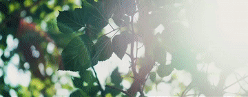 article_img