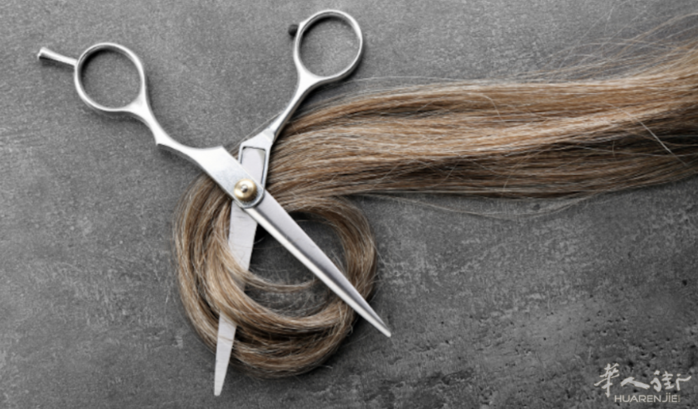 截屏2024-07-23 04.54.31.png