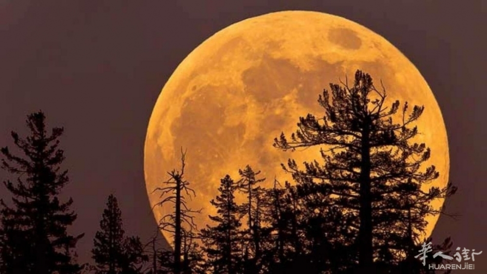 64a170340b23c.r_d.640-360-0.jpeg 64a170340b23c.r_d.640-360-0.jpeg