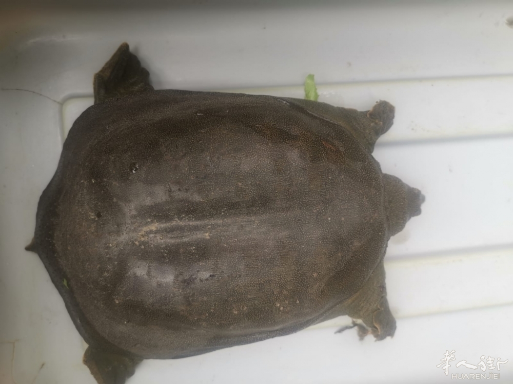 3ead326b-235f-47d9-91bd-9fb498f11ebd.jpg 3ead326b-235f-47d9-91bd-9fb498f11ebd.jpg