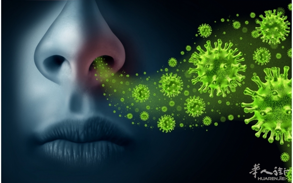 influenza.jpg