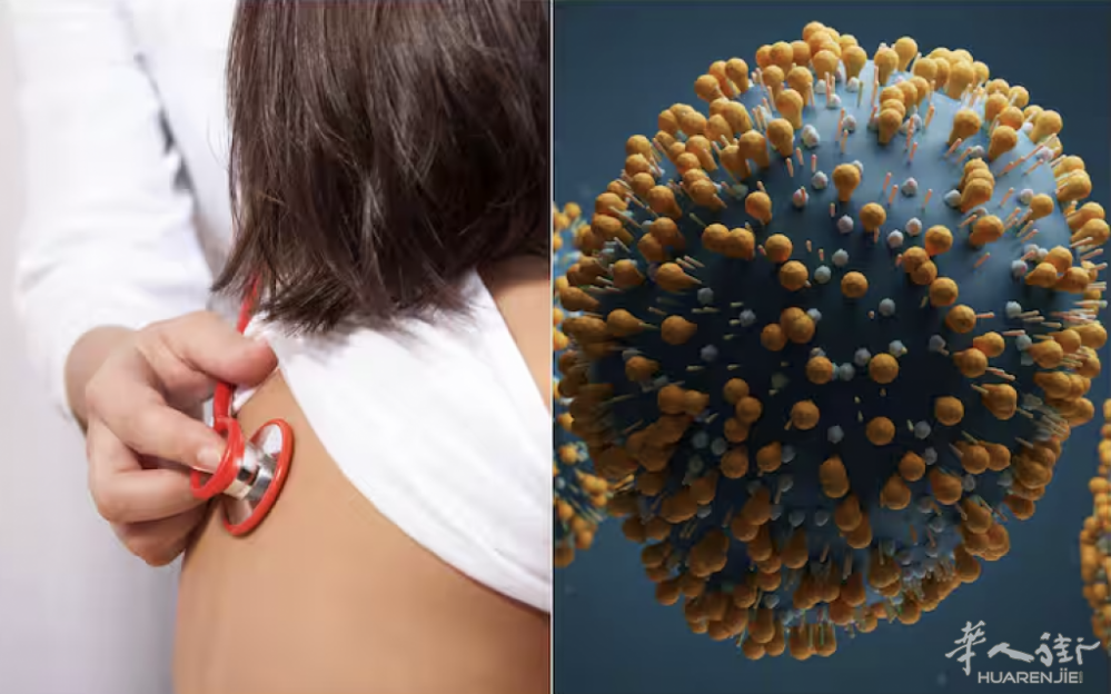 截屏2024-10-19 01.03.41.png 截屏2024-10-19 01.03.41.png