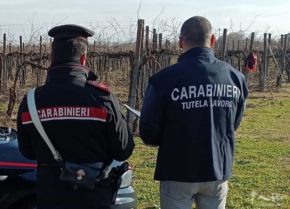 vigneti carabinieri.jpg