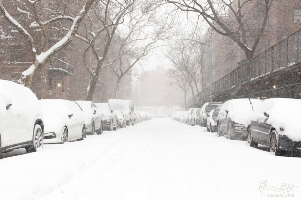 shutterstock_2116364696.jpg article_img