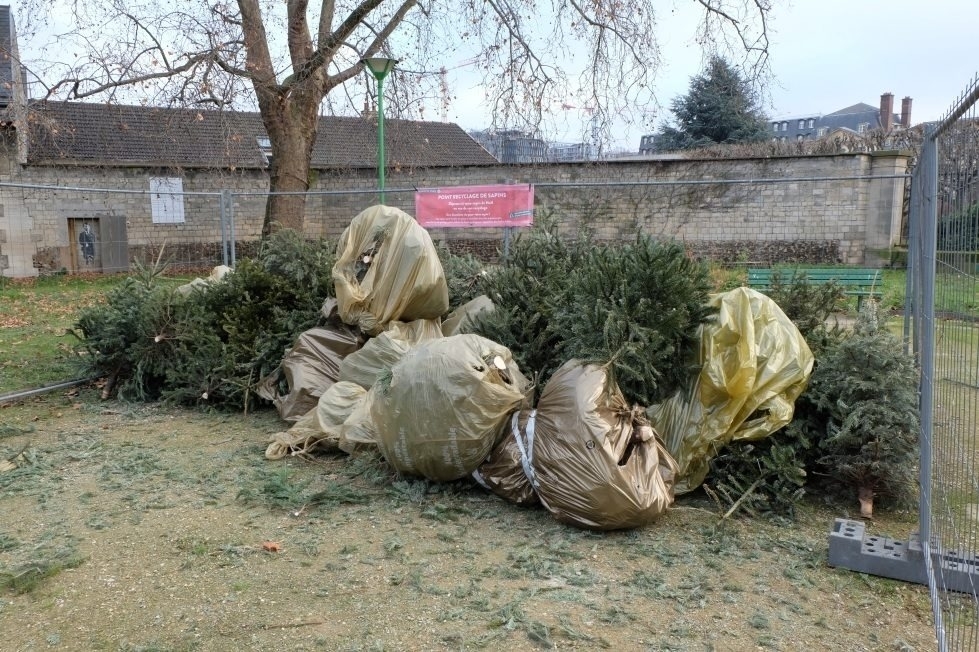 recyclage-sapin-paris.jpg
