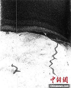 cover_4
