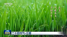 cover_6