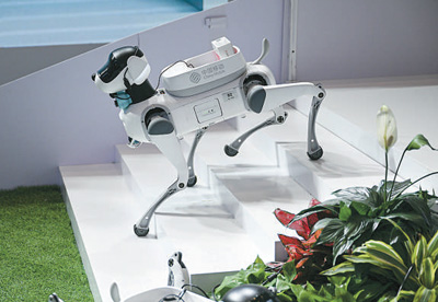 article_img