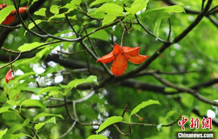 article_img