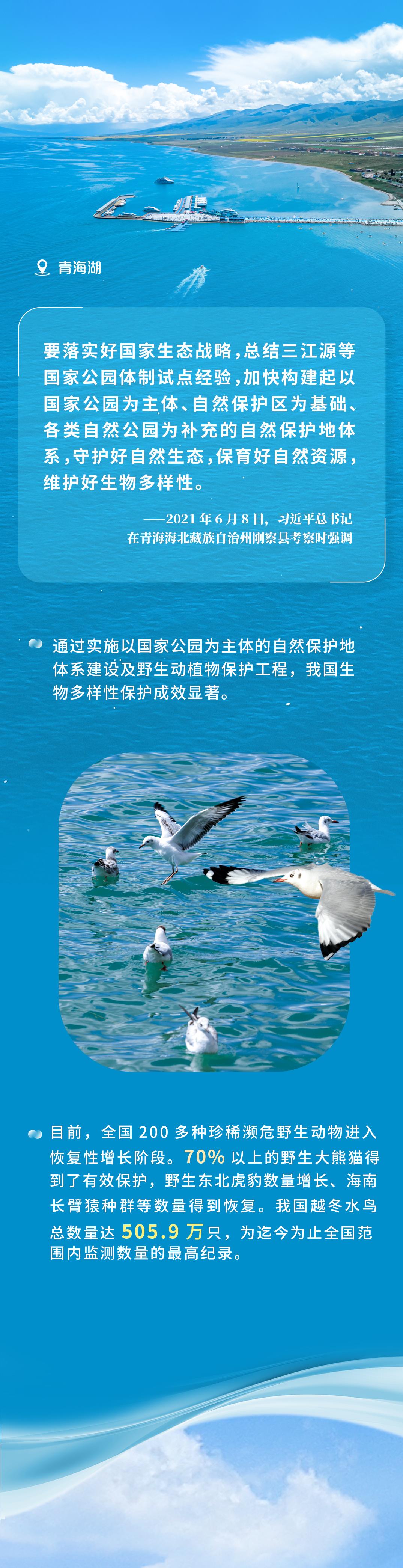 article_img