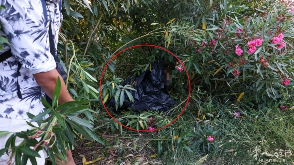 corpo donna sacco nero villa pamphili trovato oggi 7 giugno 2025 lapresse_censored.jpg article_img