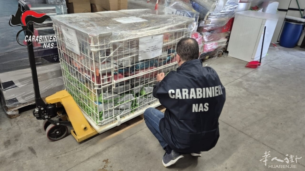 Carabinieri Nas parma sequestro mangime per animali.jpg article_img