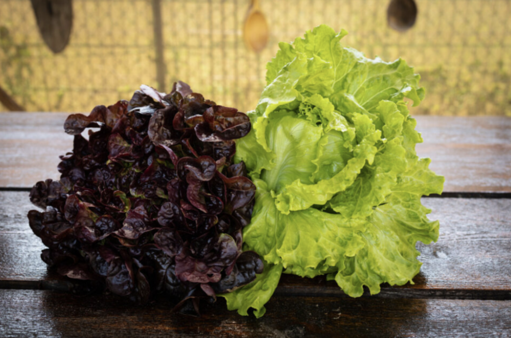 截屏2025-06-18 18.27.27.png