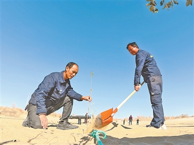 article_img
