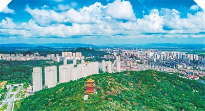 article_img