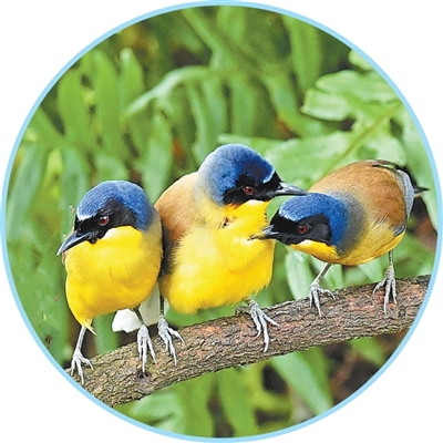 article_img