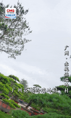 article_img