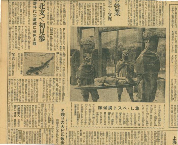 article_img