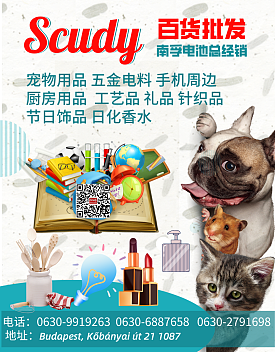 cover_13