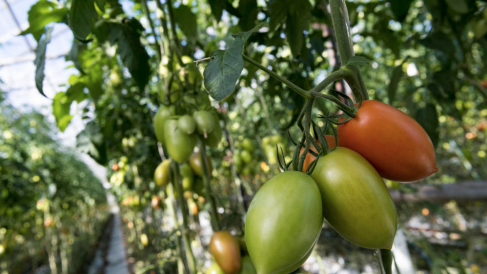 截屏2025-07-07 21.01.52.png