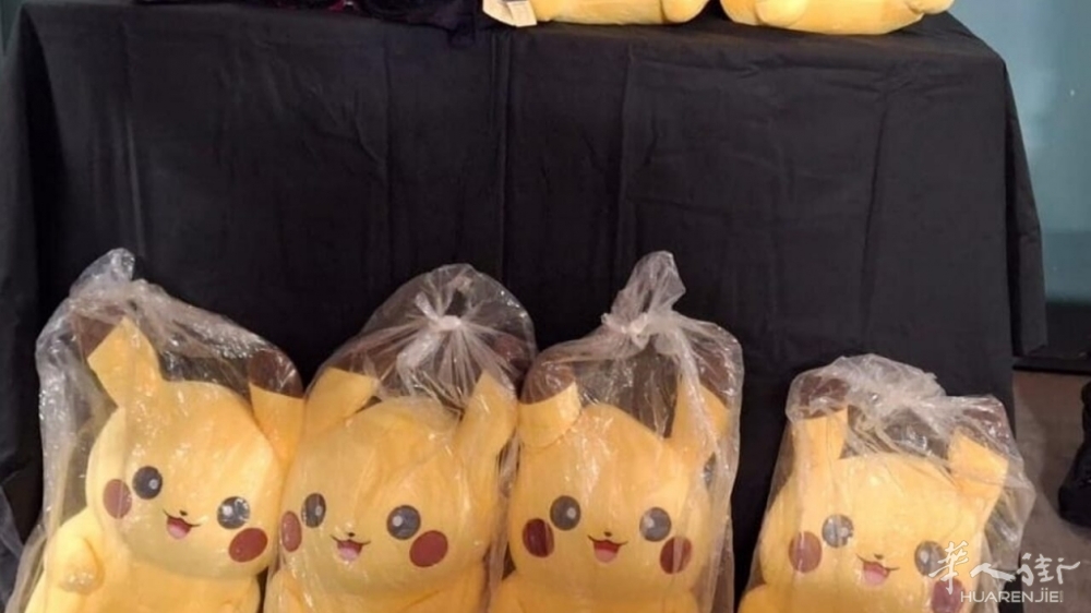 foto peluche e reggiseni senza militari (1).jpg