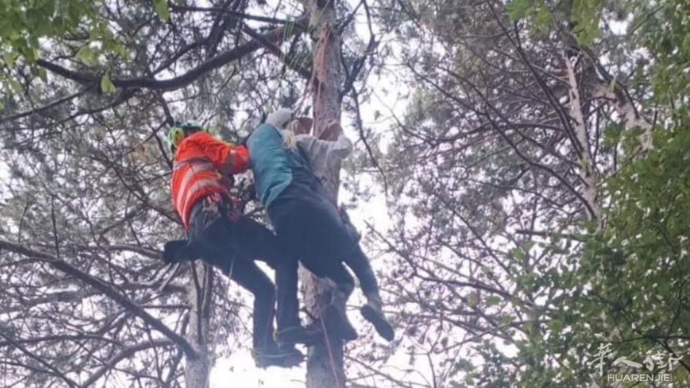 para-4.jpg para-4.jpg