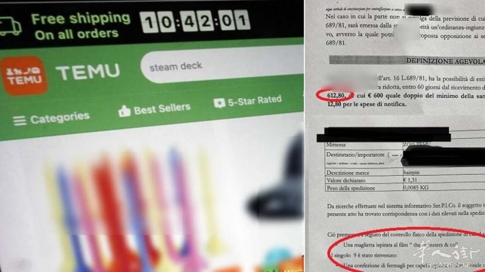 Temu multa_censored.jpg