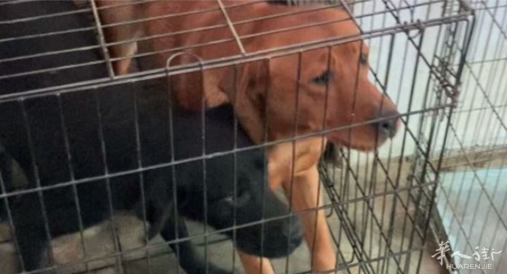 截图20251006085835.png 截图20251006085835.png