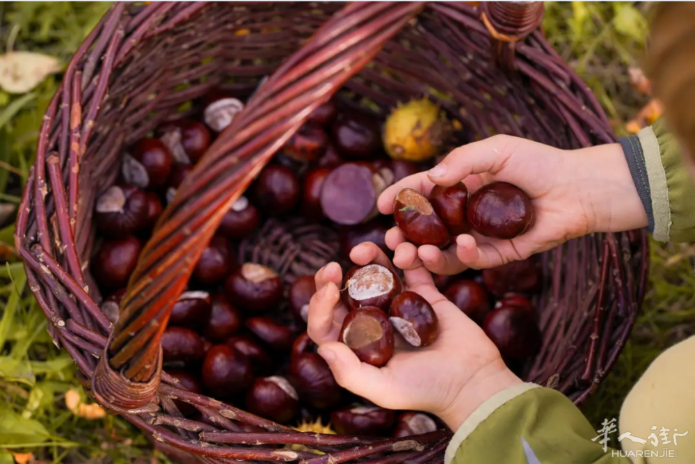 截图20251026165955.png 截图20251026165955.png